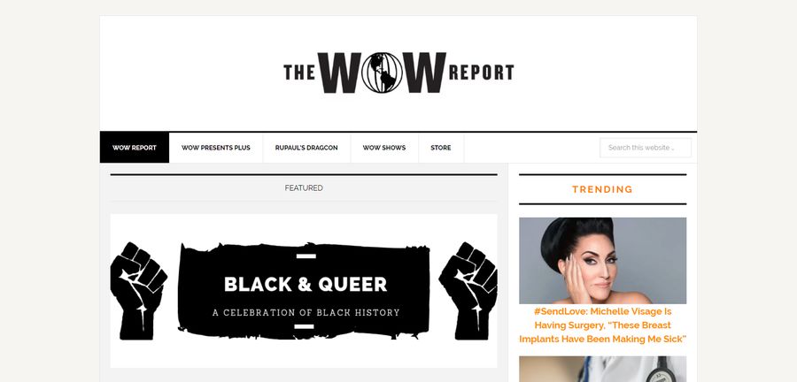 The WOW Report as a good example of a counter-culture blog type